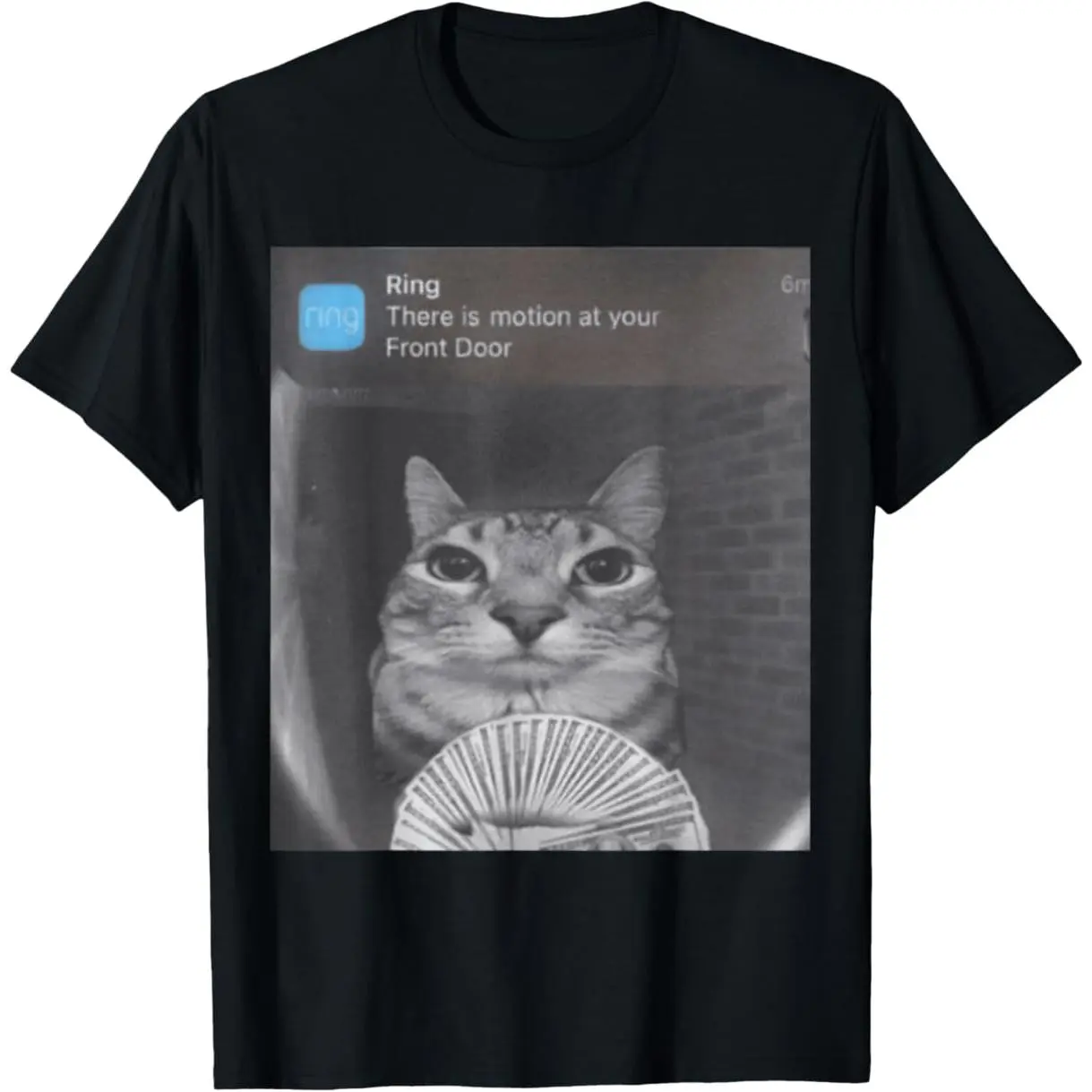 There Is Motion at Your Front Door Funny Cat Meme Graphic Tee, Ring Doorbell Camera Cash Cat Relaxed Streetwear Cotton Unisex T-Shirt