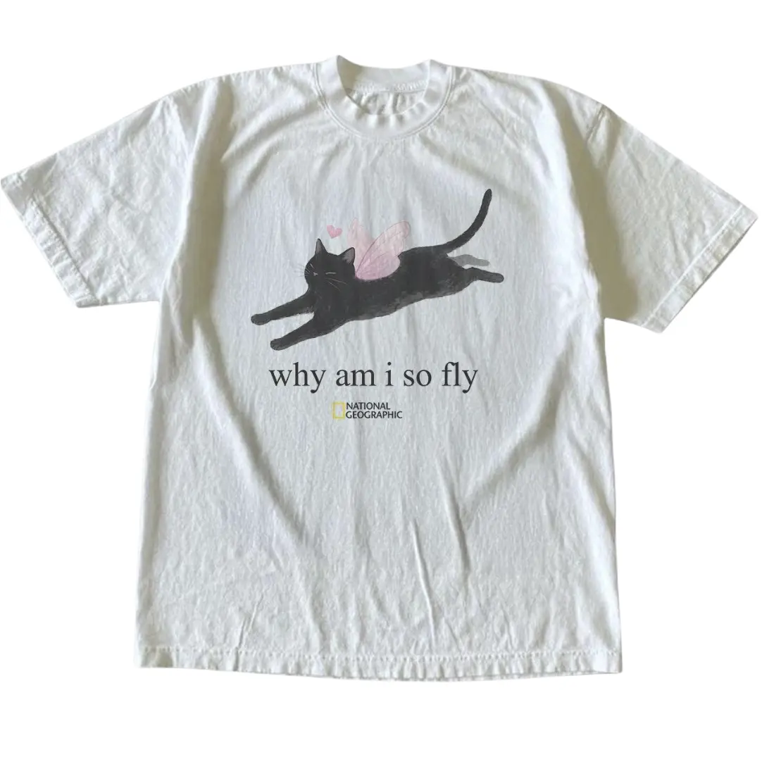 Black Cat Fairy Why Am I So Fly Graphic Tee, Vintage Gothic Grunge Y2K Emo Scene Amity Affliction Style Cat Lover Shirt, Unisex T-Shirt