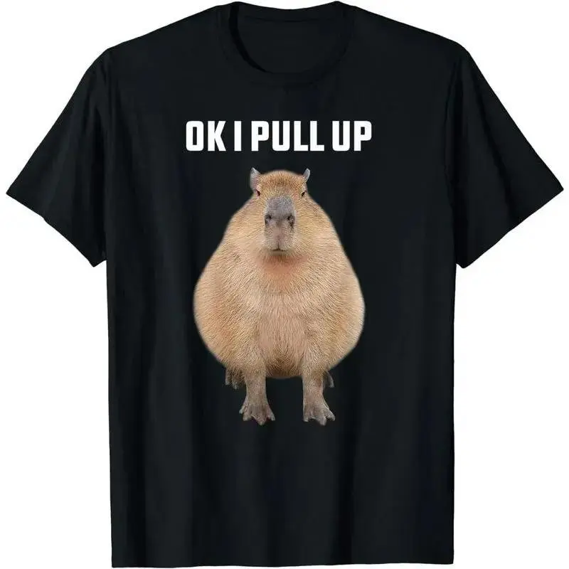 Ok I Pull Up Capybara Funny Graphic Tee, Cute Capybara Meme Animal Lover Oversized Casual Streetwear Unisex Black T-Shirt