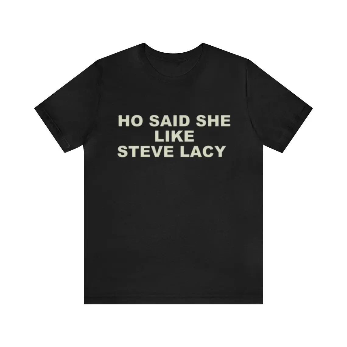 Ho Said She Like Steve Lacy Funny Dark Humor Meme Parody Graphic Tee, Ironic Streetwear Casual Round Neck Soft Cotton Unisex T-Shirt
