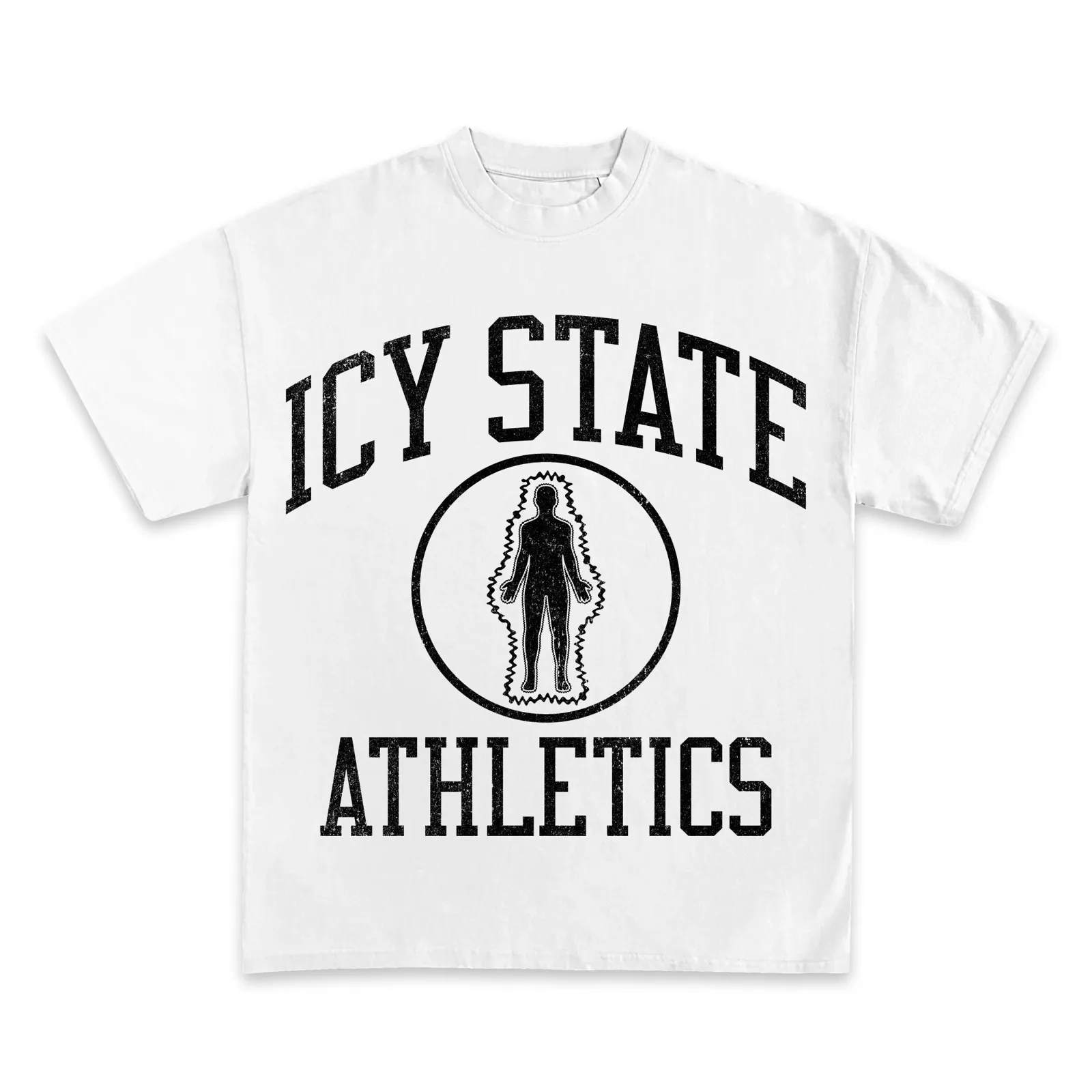 State Athletics Varsity Graphic T-Shirt, Hoodie, Sweatshirt, Collegiate Athletic Department Streetwear Vintage Sports Tee